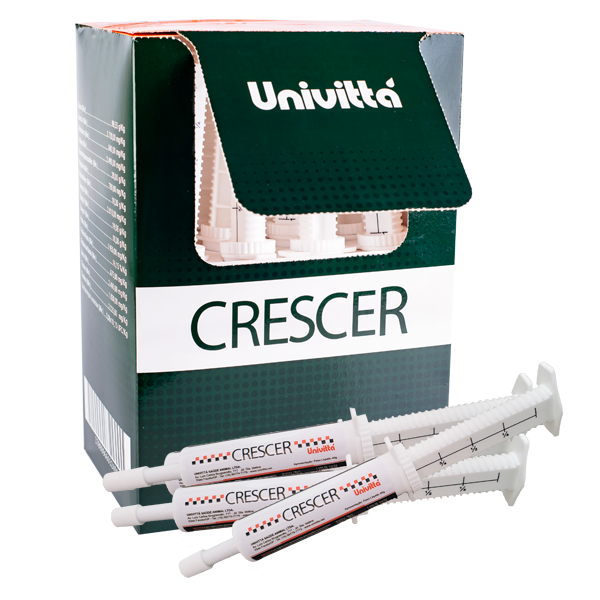 Crescer Pasta
