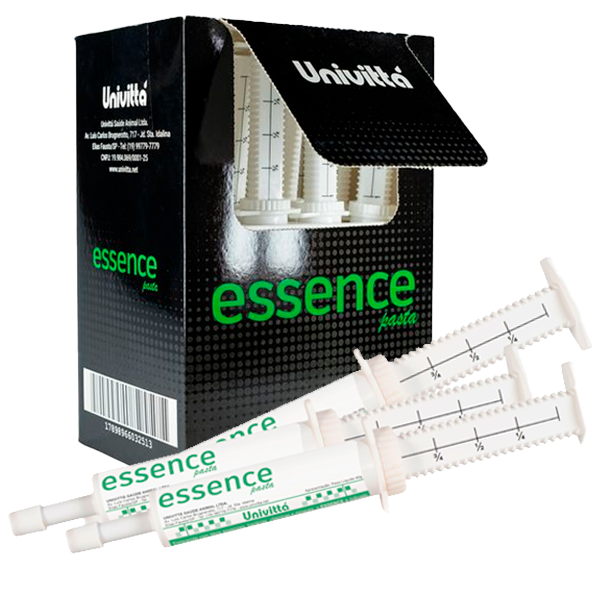 Essence Pasta