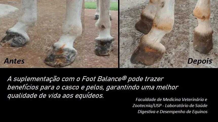 FOOT BALANCE: Suplemento para cascos