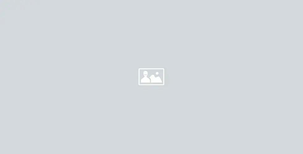 O que fazer para meu potro ser um campeão?