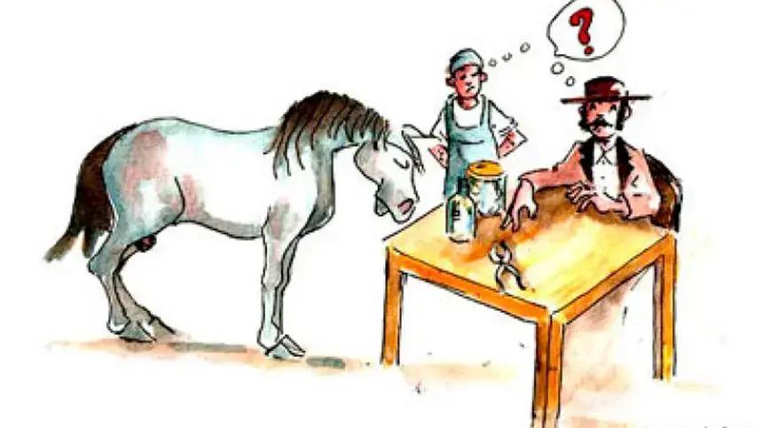 O que temos no mercado hoje para tratar a diarreia de nossos animais?