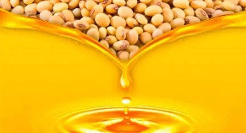 Porque usar o óleo degomado de arroz ao invés do óleo refinado de soja?