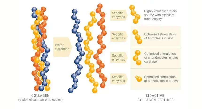 Qual a origem do COLAGENO Univittá e qual a sua especificação em Peptídeo Bioativo?